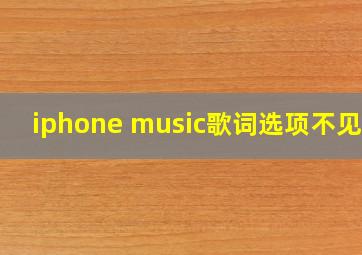 iphone music歌词选项不见了